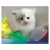 Juguete Pelota Dispenser Comida Rascals Perros Gatos M Y L