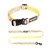 Kit Collar y Correa Husky Mar Chiquita para Perros M
