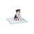 Paos Protector Alfombra Para Piso Pet Diaper Perros 40 unidades 60x60cm - Mascotas Ya! | Online Pet Shop