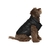 Abrigo Campera Corderito Buzo Cocooning Raphael Xxl - Mascotas Ya! | Online Pet Shop