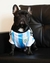 Camiseta Argentina Remera Perros Futbol Mundial Seleccion Afa S - tienda online
