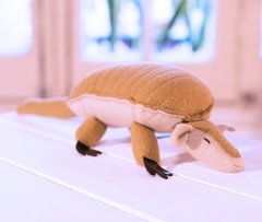 Tatú carreta/ armadillo - Ñurumí