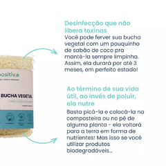 Bucha Vegetal Para Corpo e Louças (100% Biodegradável) Positiva - BENICE • the nice human co.