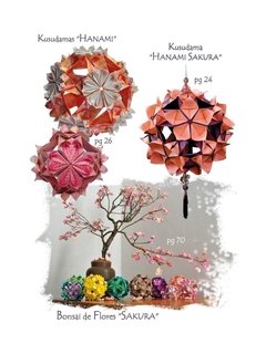 Libro Origami en Flor de Flaviane Coti y Vera Young - tienda online