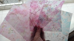 Papel semi transparente FOTOS de FLORES. 15x15cm. 20 hojas simple faz. Daiso. Importado