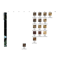 Imagen de KIT 10 TINTURAS INOA - LOREAL