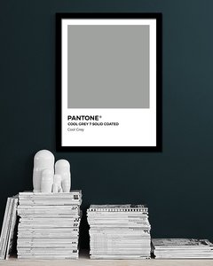 Cuadro Pantone Cool Grey
