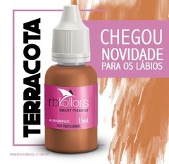Pigmento Terracota light ( Lábios ) Rbkollors - Lábios 15ml ( VALIDADE 06/2022 ) - comprar online