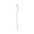 Adaptador iPhone Auriculares Lightning Plug 3.5mm en internet