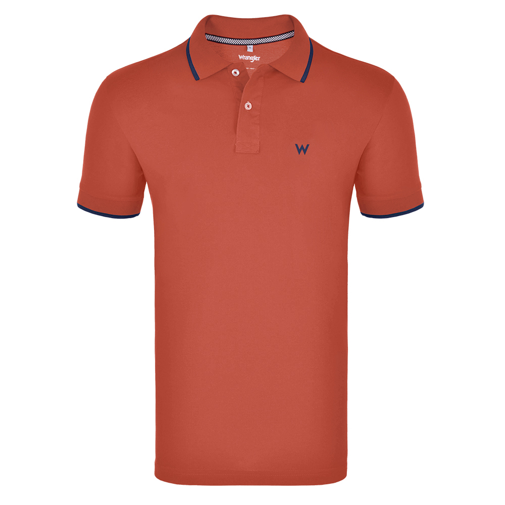 camisa gola polo polo
