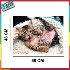 Trefl 1000 Piezas 10448 Cheerful Kitten - comprar online