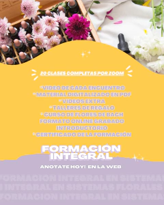 PREVENTA UNO - FORMACIÓN INTEGRAL EN SISTEMAS FLORALES - AGOSTO 2023 - comprar online