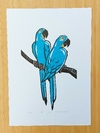 Xilogravura Manoel Rufino: Arara (M)