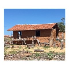 Cabeça de Homem - Mestre Luiz Benício - loja online