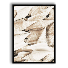 CUADRO CARACOLES MARINOS - comprar online