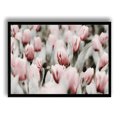 CUADRO TULIPANES