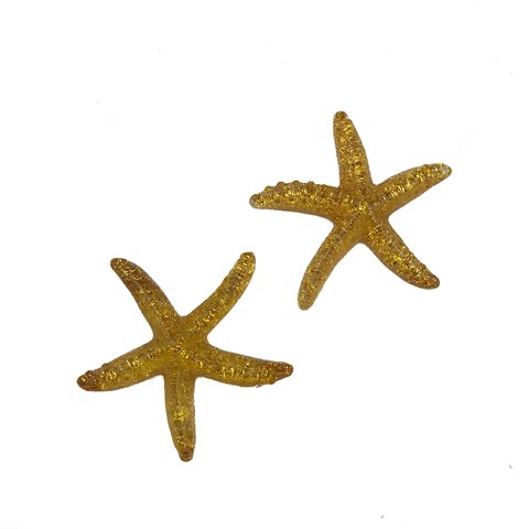 Featured image of post Estrela Do Mar Dourada Png