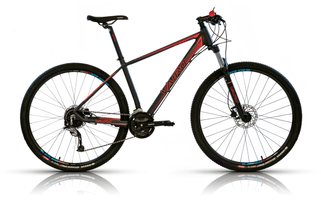 Bicicleta Vairo - 4.0 (2022) - Casinuevo Deportes
