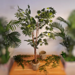 Acer Japonés (Artificial)