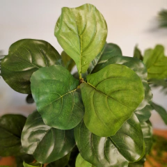 Ficus Pandurata Natural Touch (Artificial) - comprar online