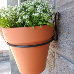 Aro de Pared - comprar online