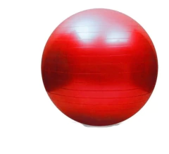 Imagen de PELOTA DE ESFERODINAMIA 75 CM