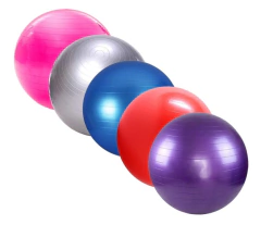 PELOTA DE ESFERODINAMIA 55 CM en internet