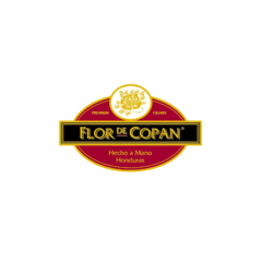 Flor de Copán Torbusto - Caja x 20 - comprar online