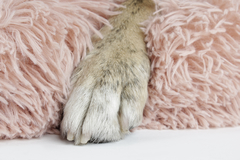 Cucha Camita Gatos Perros Peluda 70 X 21 cm - tienda online