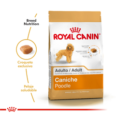 Alimento Royal Canin Caniche Adult para Perros Adultos - comprar online