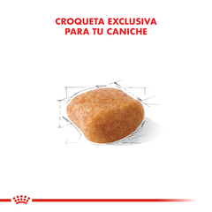 Alimento Royal Canin Caniche Adult para Perros Adultos - TotalPet
