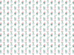 Lamina Decoupage XL 5007 Cactus