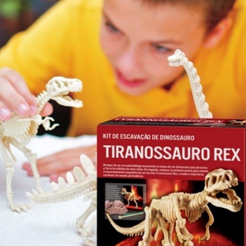 Kit de Escavação de Dinossauro Velociraptor - Educativos Brinquedos