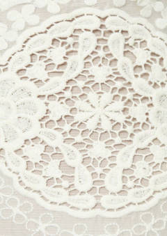 S0495 - GASA DE SEDA BORDADA CON GUIPIURE - comprar online