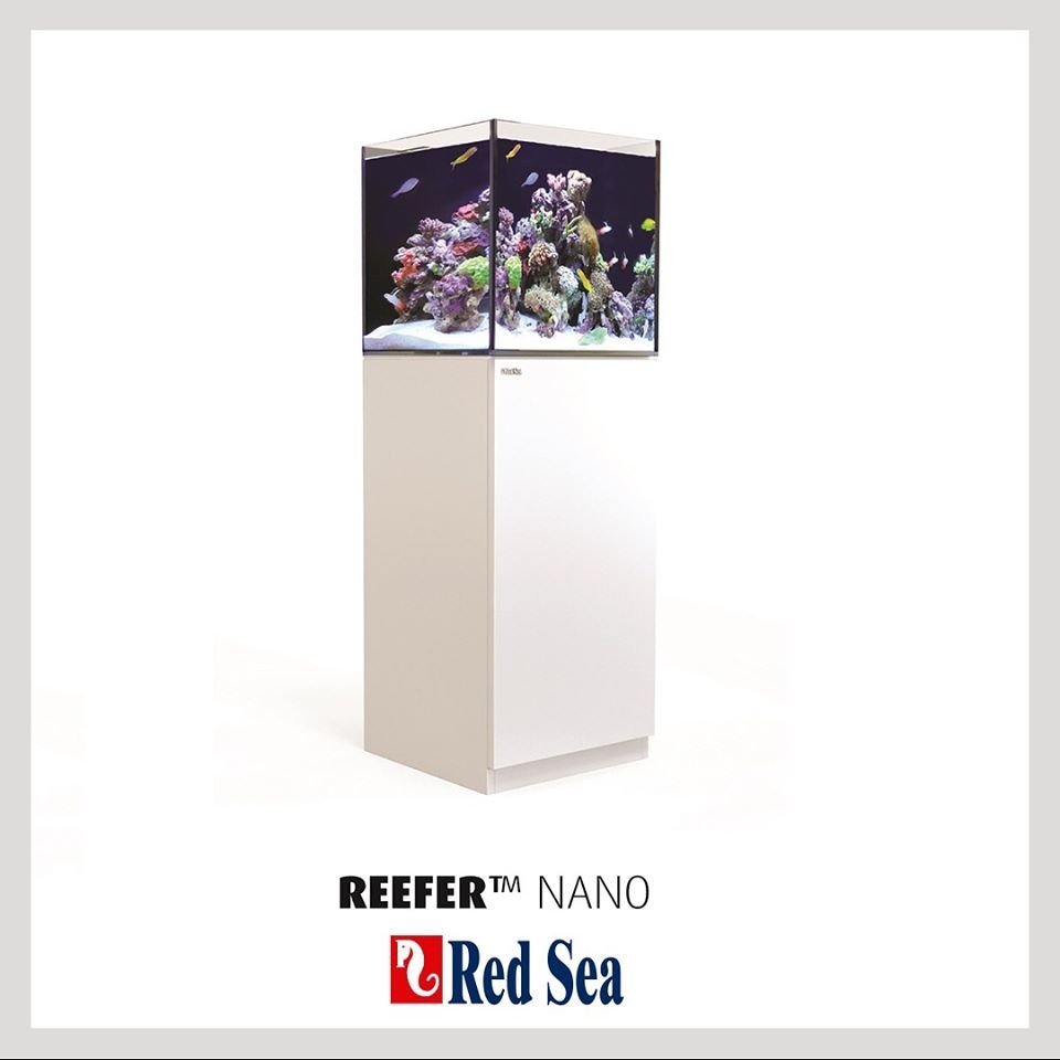 Aquario Red Sea Reef System C Movel Reefer Nano White