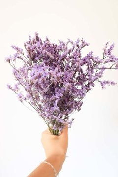 Ramo Caspia Japonesa Violeta - Comprar en LIBRA HOME