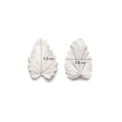 Hoja de Frambuesa Cód. 8036 - comprar online