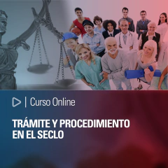 Curso Online: Trámite y procedimiento en el SECLO
