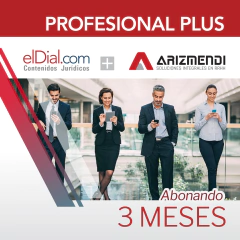 Suscripción al plan PROFESIONAL PLUS ARIZMENDI (3 meses)