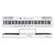 Piano Electrico Artesia Am1 88 Teclas