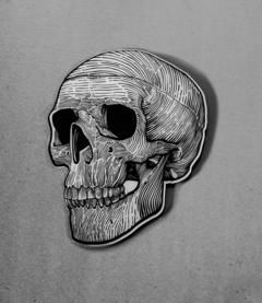 Placa Skull