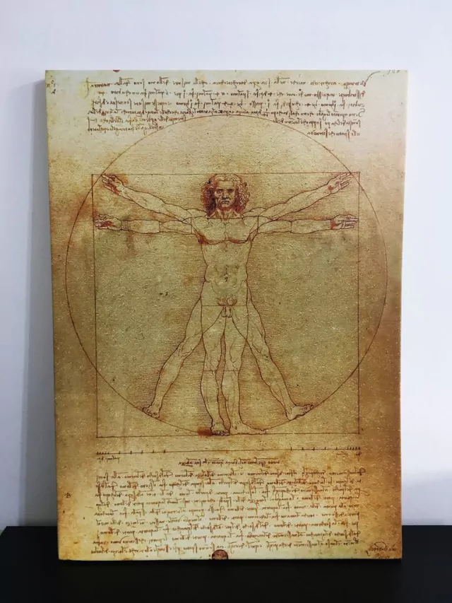 Cuadro El Hombre de Vitruvio de Leonardo Da Vinci en cuerina