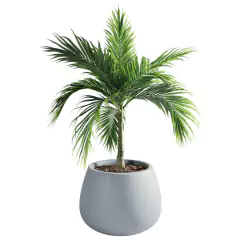 Maceta Batea N 50 - Gris Perla