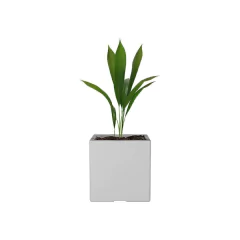 Maceta Cubo N 30 - Blanco - comprar online