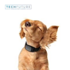 Localizador GPS 4G, Mascotas / Objetos resistente al agua