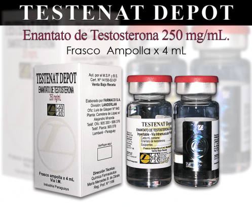 El secreto no contado para dominar testoedgefx en línea en solo 3 días