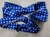 Gravata Borboleta - Azul Royal Pettit Poá - COD: TS1844 na internet